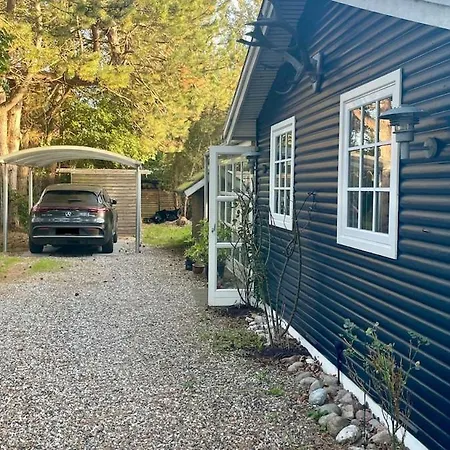 Cozy Near And Nature *