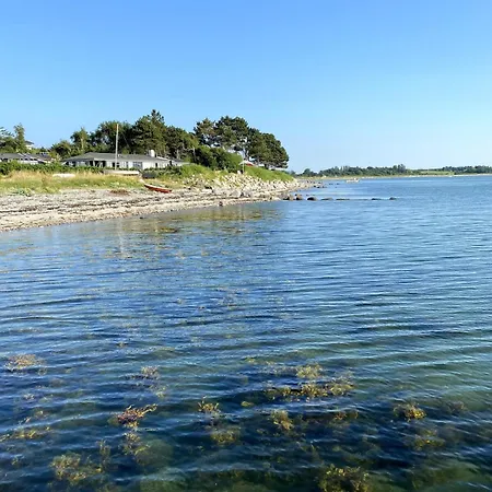 Cozy Near And Nature