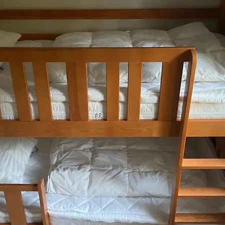 Cozy Near And Nature